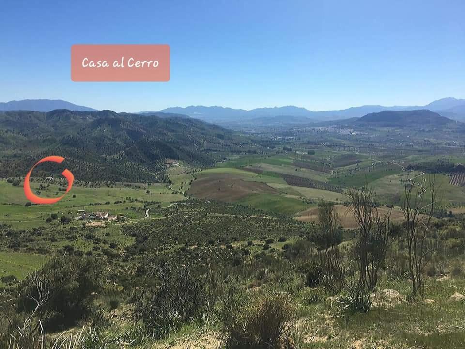Casa Al Cerro Apartment Alora Bagian luar foto